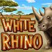 White Rhino Slots review