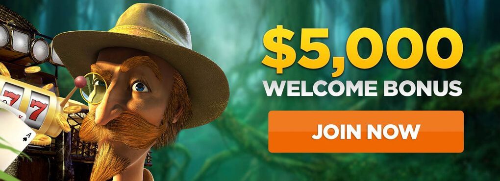 Wild Casino Free Spins
