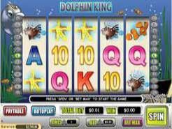 Dolphin King Slots