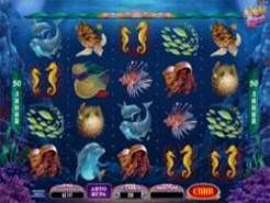 Dolphin Quest Slots