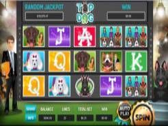 Top Dog Slots